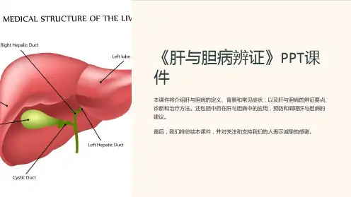 《肝与胆病辨证》课件