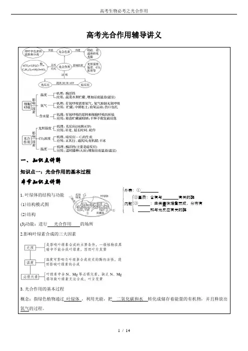 高考生物必考之光合作用