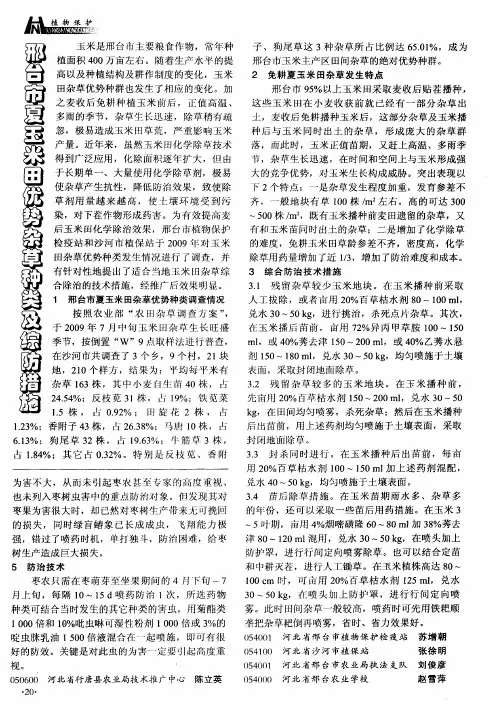 邢台市夏玉米田优势杂草种类及综防措施