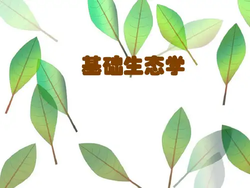 4生态系统生态学-《基础生态学》课件