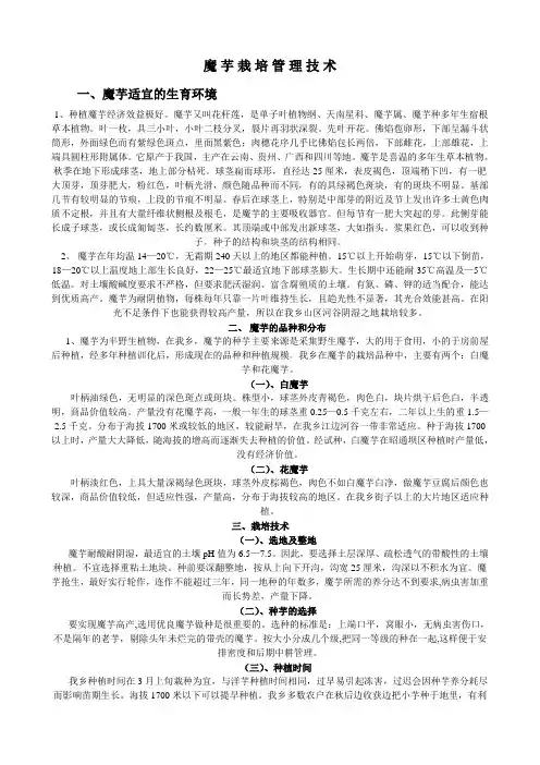 魔芋的种植与管理