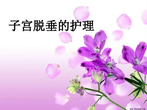 子宫脱垂的护理PPT课件