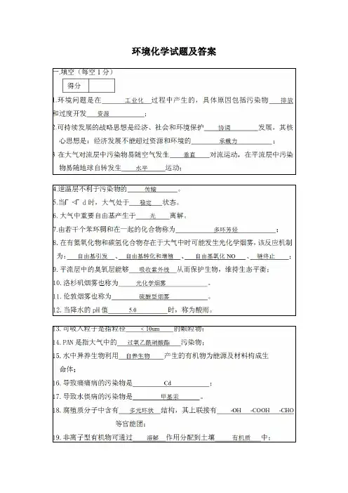 2022年环境化学试题及答案