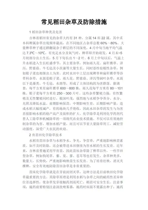 最新 常见稻田杂草及防除措施-精品
