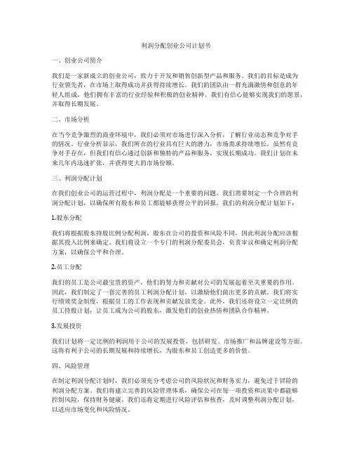 利润分配创业公司计划书