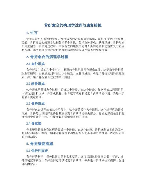 骨折愈合的病理学过程与康复措施