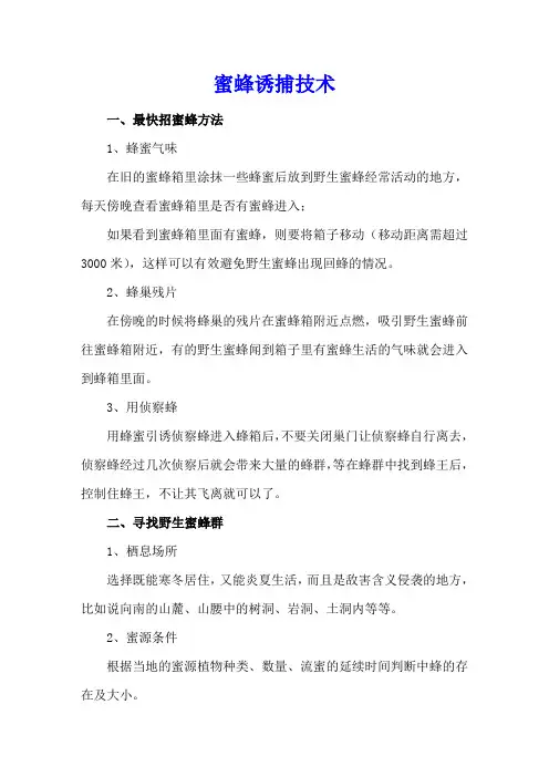 蜜蜂诱捕技术