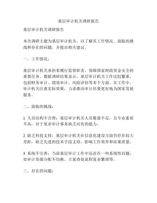 基层审计机关调研报告