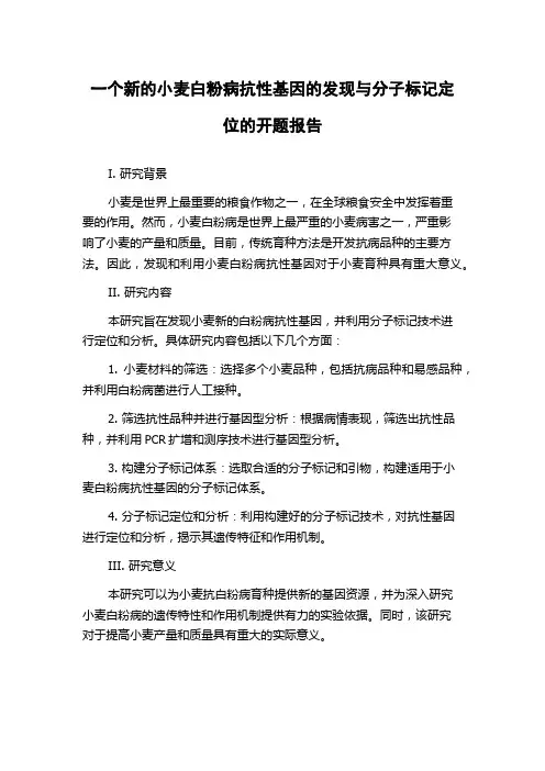 一个新的小麦白粉病抗性基因的发现与分子标记定位的开题报告