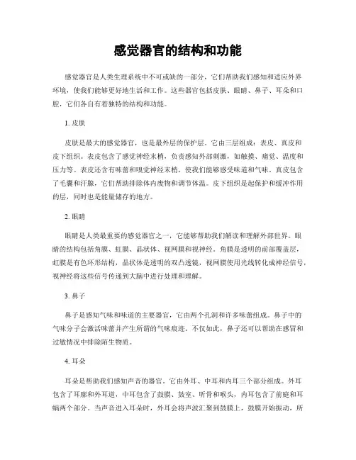 感觉器官的结构和功能