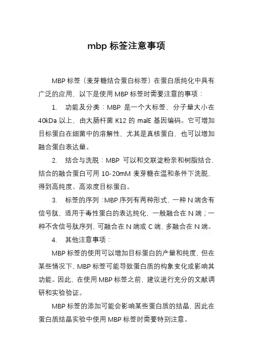 mbp标签注意事项