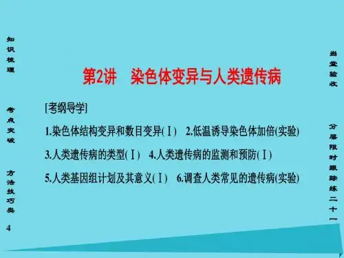 2017版高考生物一轮复习 第7单元 生物的变异、育种与进化 第2讲 染色体变异与人类遗传病课件