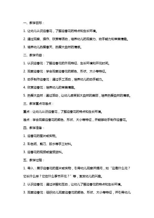 2024年幼儿园小班教案《迎春花》