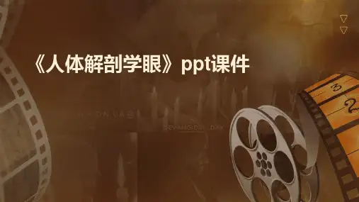《人体解剖学眼》课件