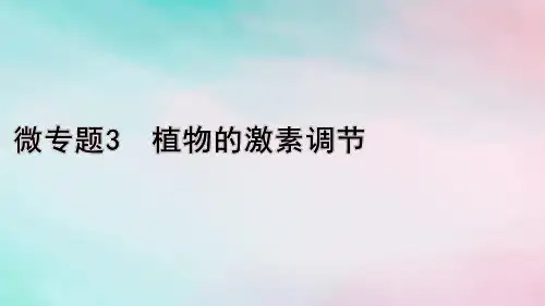 高考生物考前冲刺第1篇专题素能提升专题4调节微专题3植物的激素调节