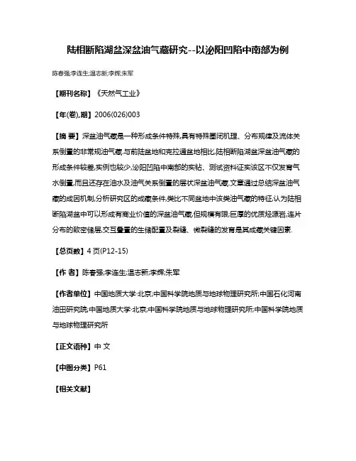 陆相断陷湖盆深盆油气藏研究--以泌阳凹陷中南部为例