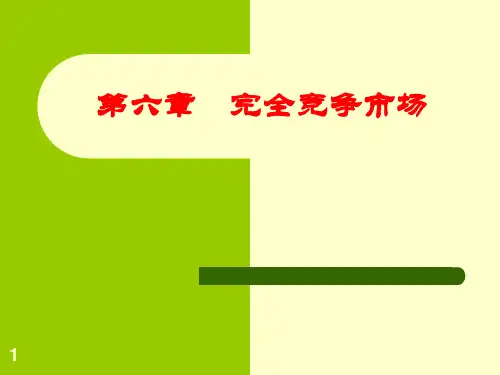 第六章  市场结构理论――完全竞争市场PPT课件