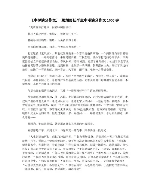 [中学满分作文]一蓑烟雨任平生中考满分作文1000字