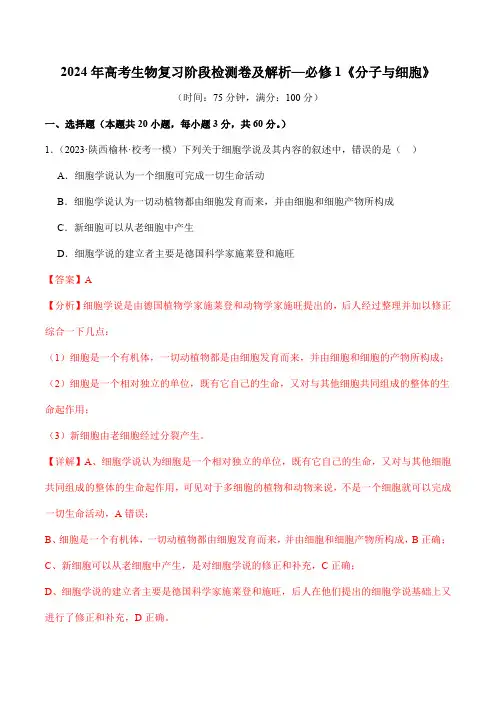 2024年高考生物复习阶段检测卷及解析—必修1《分子与细胞》