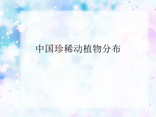 中国珍稀动植物分布