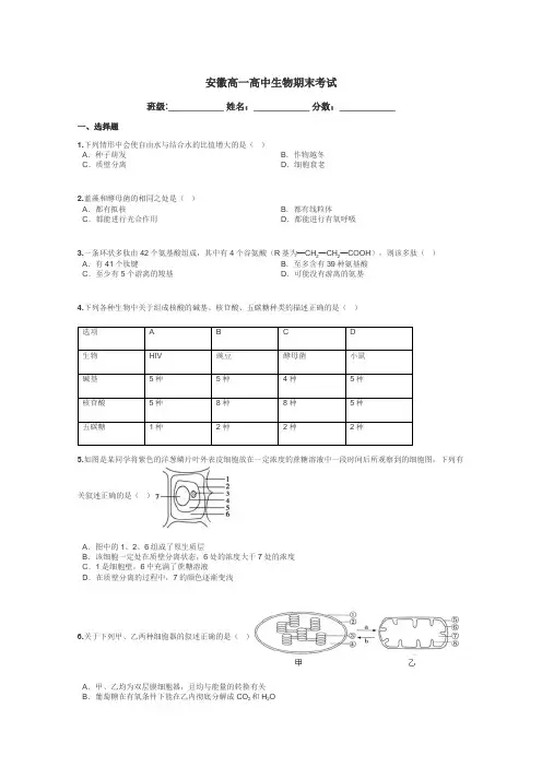 安徽高一高中生物期末考试带答案解析
