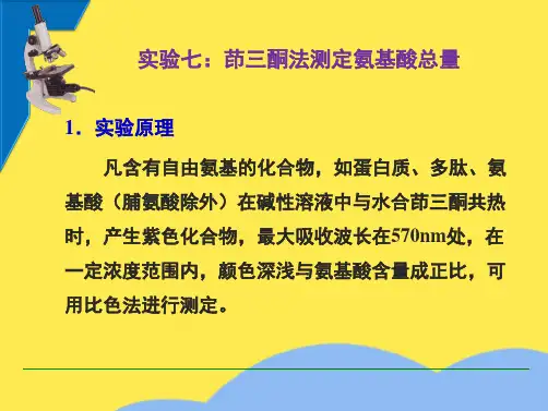 KJ 茚三酮法测定氨基酸总量(“氨基酸”相关文档)共8张