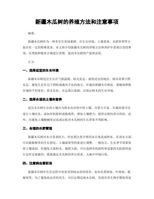 新疆木瓜树的养殖方法和注意事项