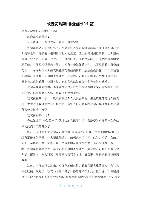 玫瑰花观察日记(通用14篇)