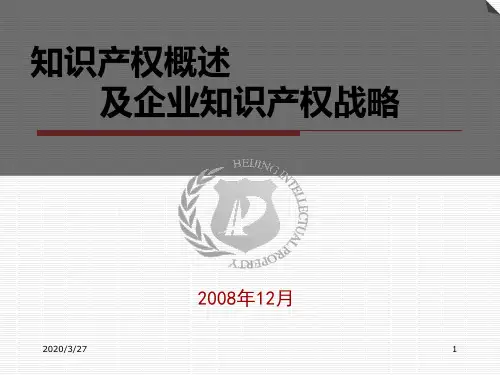 知识产权概述及企业知识产权战略PPT课件