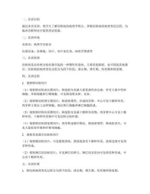 病理学结核病实训报告范文