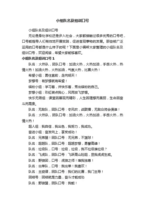 小组队名及组训口号
