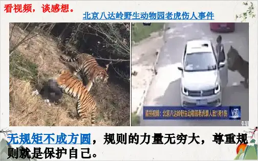 人教版道德与法治七年级下册 青春有格 (35张)-PPT精品课件