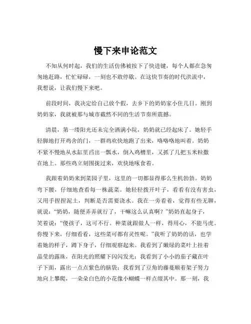 慢下来申论范文