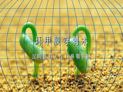 《环甲膜穿刺术》幻灯片PPT