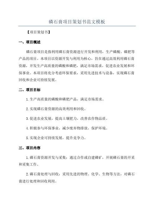 磷石膏项目策划书范文模板