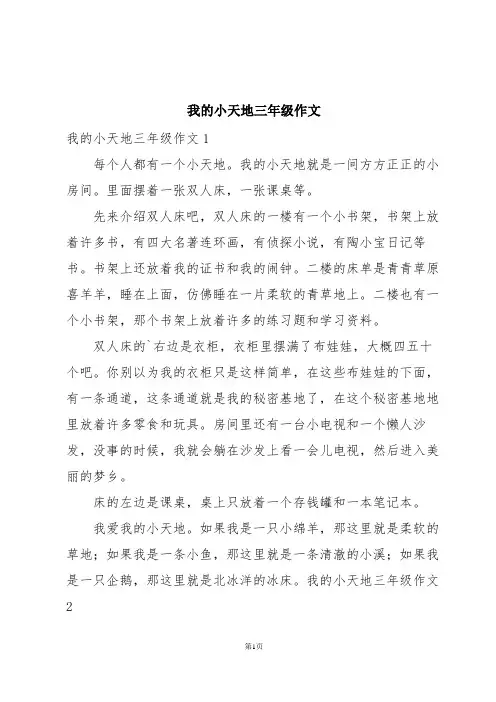 我的小天地三年级作文
