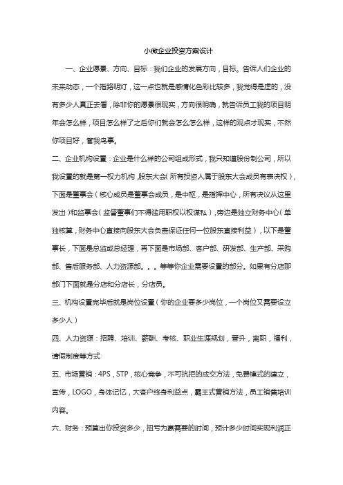 小微企业投资方案设计