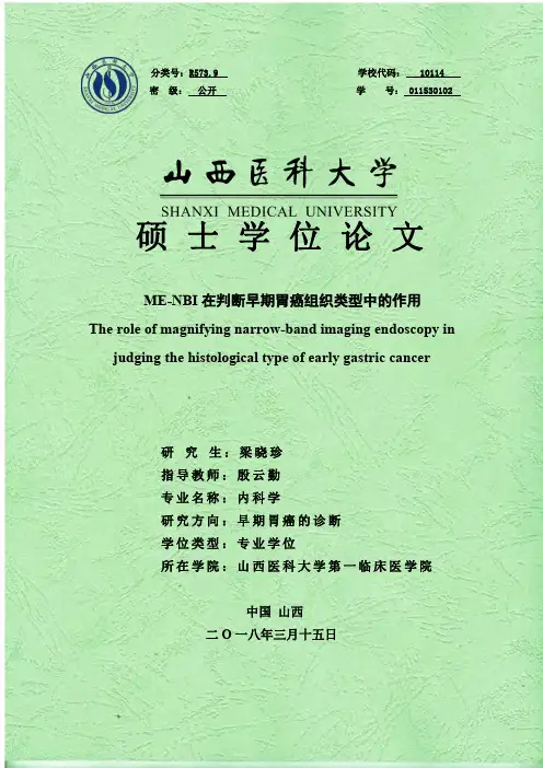 ME-NBI在判断早期胃癌组织类型中的作用