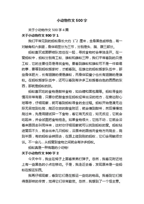 关于小动物作文500字4篇