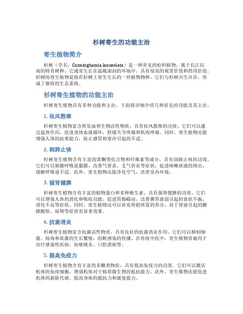 杉树寄生的功能主治