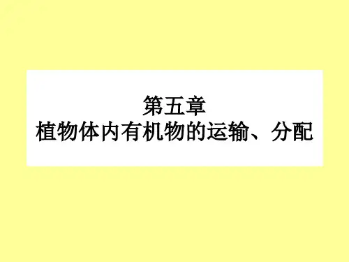 植物体内有机物的运输