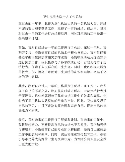 卫生执法大队个人工作总结