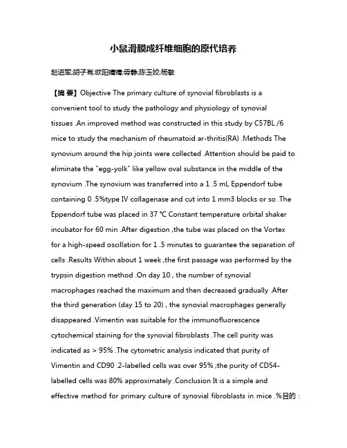 小鼠滑膜成纤维细胞的原代培养