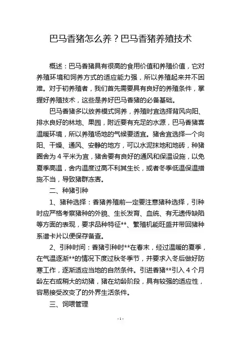 巴马香猪怎么养？巴马香猪养殖技术