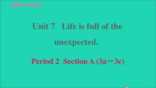 九年级英语全册Unit7Period2SectionA3a-3c习题鲁教版五四制