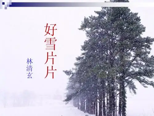《好雪片片》课件