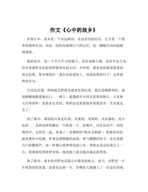 作文《心中的故乡》