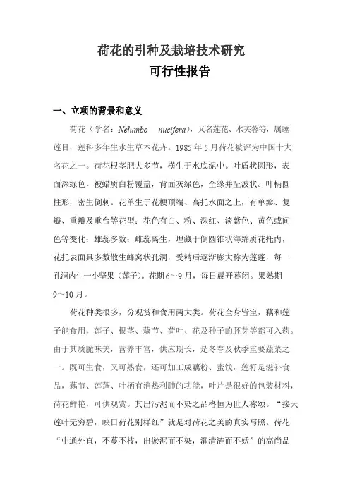 荷花的引种及栽培技术的研究可行性报告