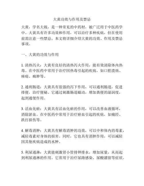 大黄功效与作用及禁忌