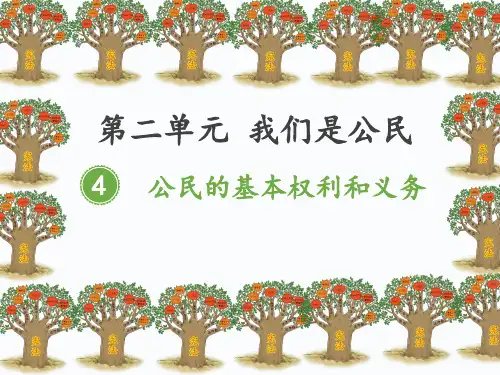 六年级上册道德与法治课件《公民的基本权利》部编版